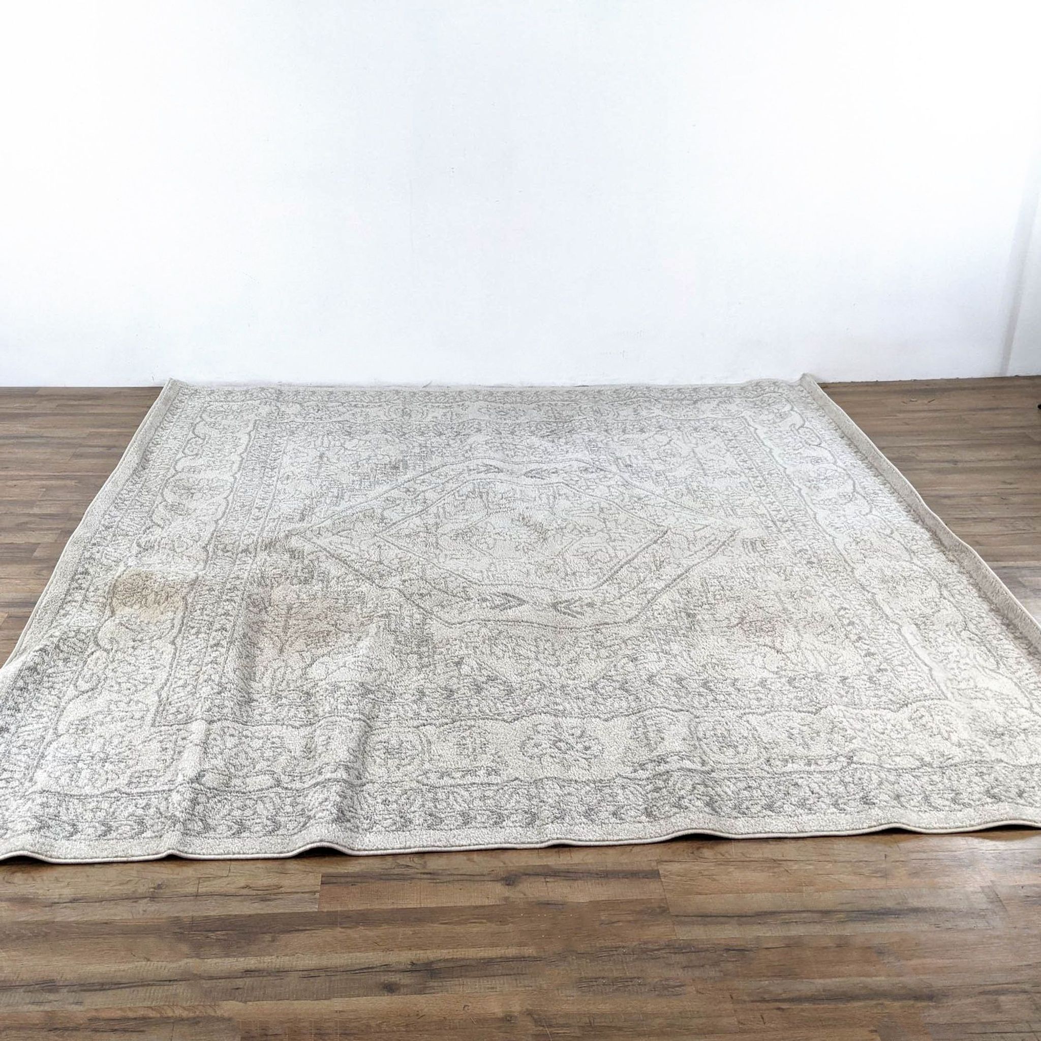 Safavieh Adirondack Ivory/Silver Rug - image 0