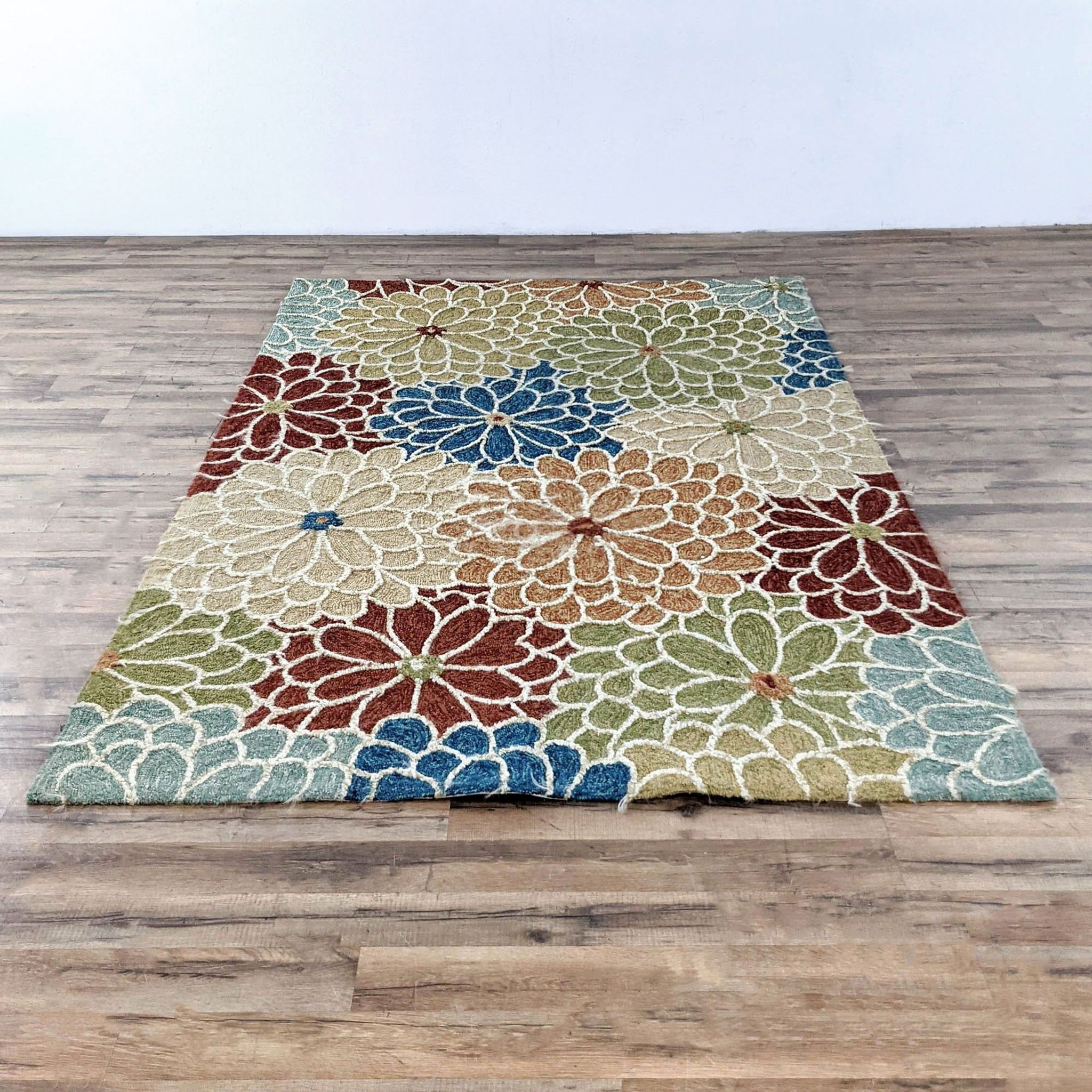 Pier 1 Imports Rug Kashew